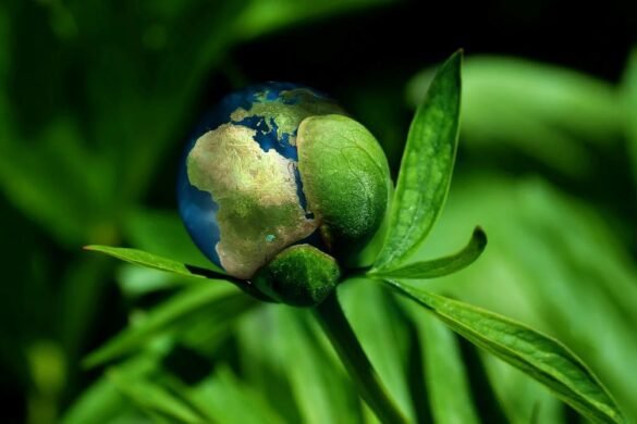 Sustainable Solutions