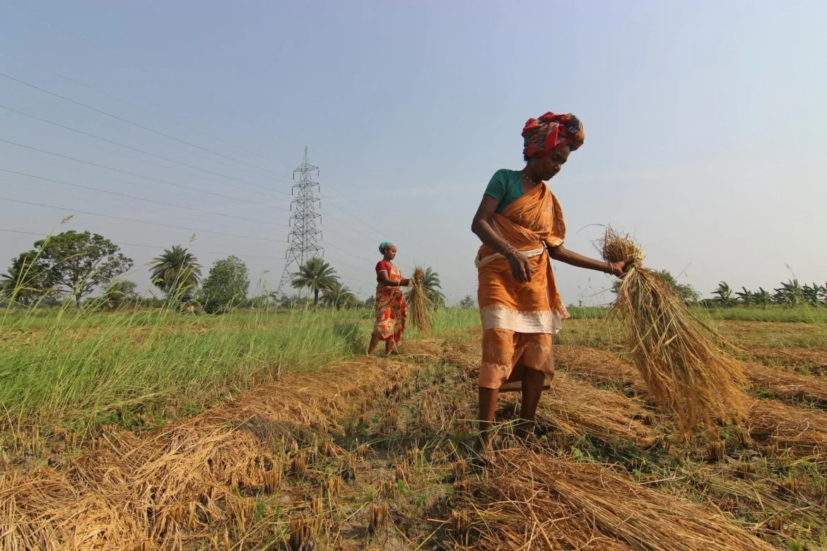 Women in Agriculture
