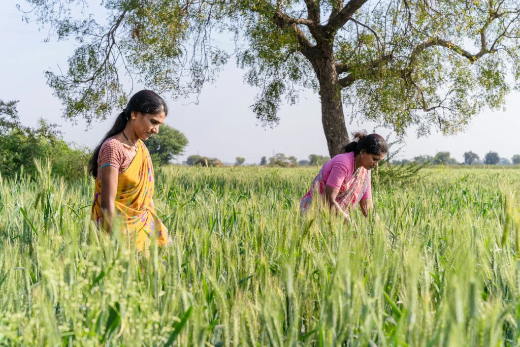 India Emphasizes Tech-Driven Agricultural Solutions at G20 Summit