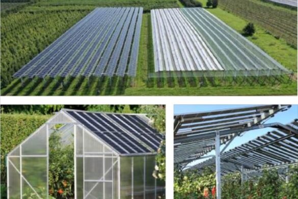 GermanSolar Introduces Agri-GermanSolar Panels