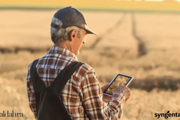 Syngenta and Al Dahra partner