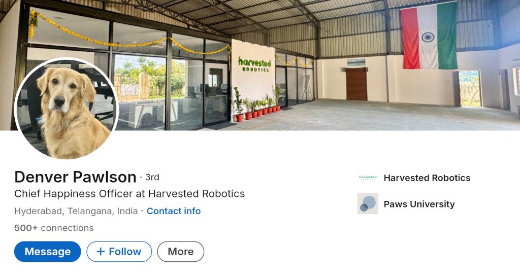 Paws University Dropout Denver Pawlson Becomes Chief Happiness Officer at Indian Agritech Startup 8 Paws University Dropout Denver Pawlson Becomes Chief Happiness Officer at Indian Agritech Startup